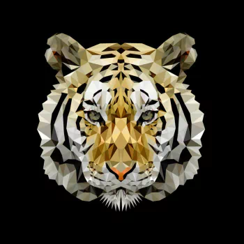 Abstract facets PFP