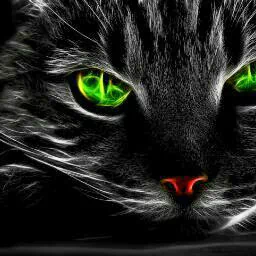 artistic psychedelic PFP