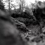 photography Black & White PFP