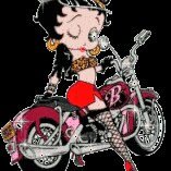 Download Vehicle Motorcycle PFP