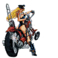 vehicle motorcycle PFP