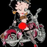 vehicle motorcycle PFP