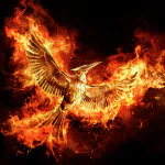 The Hunger Games: Mockingjay - Part 2 movie PFP