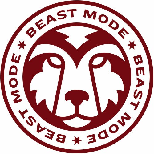 Download Seattle Seahawks Sports PFP