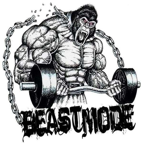 Download Seattle Seahawks Sports PFP