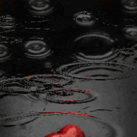 Close-up photo of raindrops creating ripples on a dark surface, featuring a red heart shape partially submerged in the water. Used as a forum avatar/profile photo.