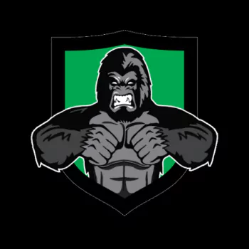 Seattle Seahawks Sports PFP
