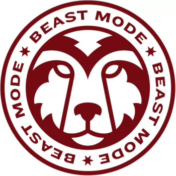 Seattle Seahawks Sports PFP