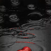 Close-up photo of raindrops creating ripples on a dark surface, featuring a red heart shape partially submerged in the water. Used as a forum avatar/profile photo.