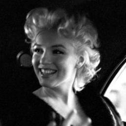 Download Celebrity Marilyn Monroe PFP