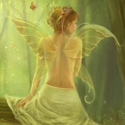 Download Fantasy Fairy PFP