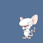 Download TV Show Pinky And The Brain PFP