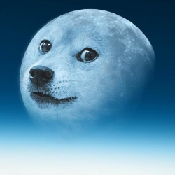 Doge in the moon