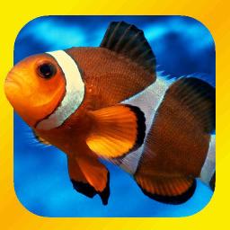 Download Animal Fish PFP