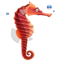 Download Animal Fish PFP