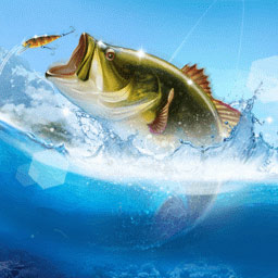 Download Animal Fish PFP