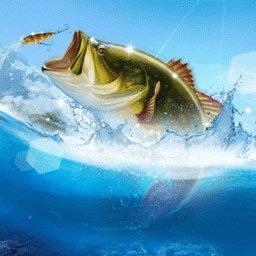 Download Animal Fish  PFP