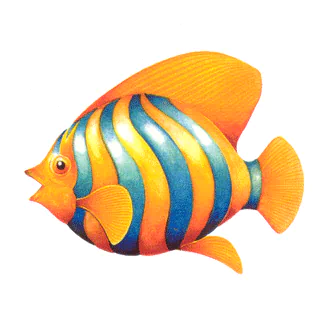 Animal fish PFP