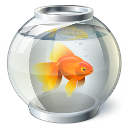 Download Animal Fish PFP