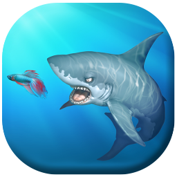 Download Animal Fish PFP