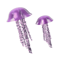 Download Animal Jellyfish PFP