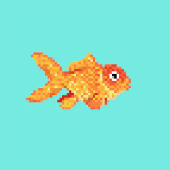 Animal fish PFP