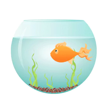 Animal fish PFP