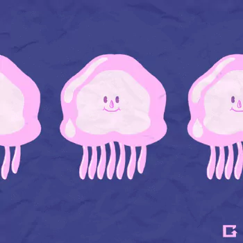 Animal jellyfish PFP
