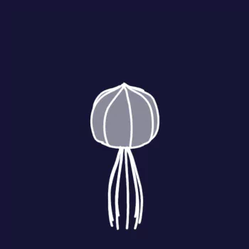 Animal jellyfish PFP