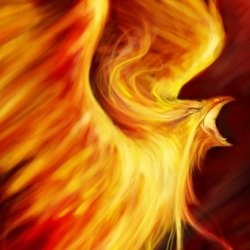 perfect phoenix avatar