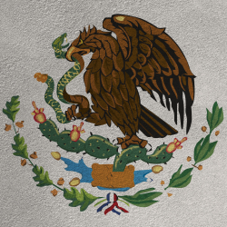 Flag Of Mexico Pfp