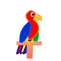 Download Animal Parrot PFP