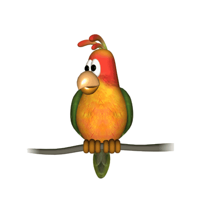 Download Animal Parrot PFP