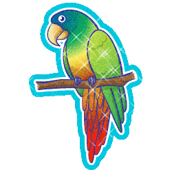 Download Animal Parrot PFP