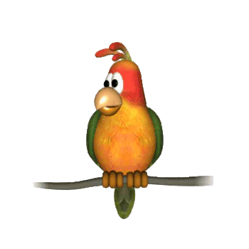 Animal parrot PFP