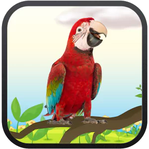 Animal parrot PFP