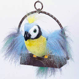 Animal parrot PFP