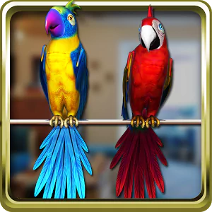 Animal parrot PFP