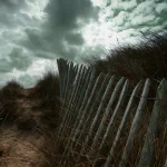 man made fence PFP
