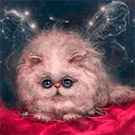 Download Kitten Cat Animal PFP
