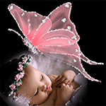Download Pink Butterfly Baby Artistic PFP