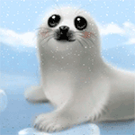 Harp Seal PFP