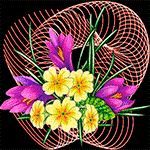 Download Colorful Colors Flower Design Artistic  PFP