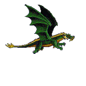 fantasy dragon green dragon PFP