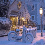  Lighted House for Christmas