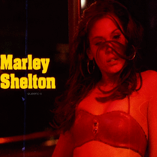 Download Horror Grindhouse Planet Terror Movie PFP