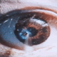 Download Horror Evil Dead Movie PFP