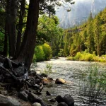  Yosemite