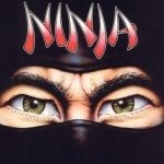 Download Eye Ninja Video Game The Last Ninja PFP