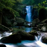nature waterfall PFP
